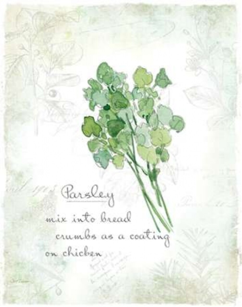 Fresh Parsley Poster Print by Carol Robinson - Item # VARPDX17354
